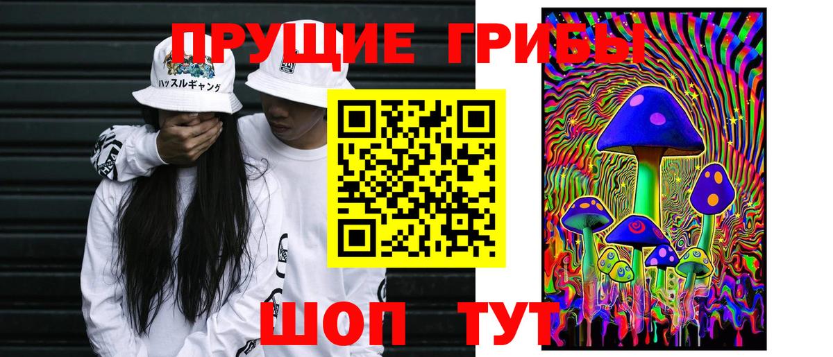Псилоцибиновые грибы Psilocybine cubensis  Вход с VPN  Южно-Сахалинск 