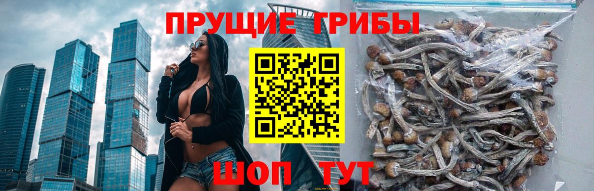 Псилоцибиновые грибы Magic Shrooms Южно-Сахалинск